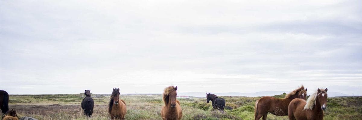 Senior & Assisted Living